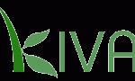 Kiva Microloan logo
