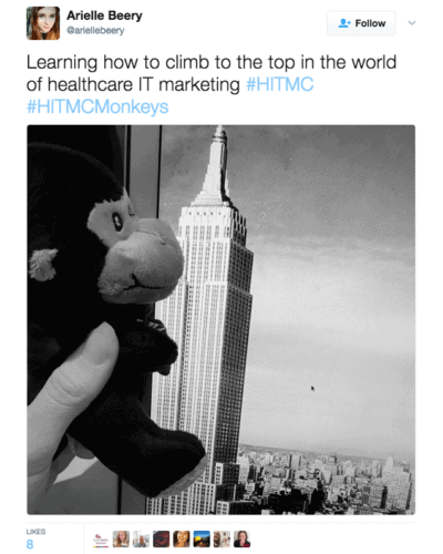HITMC monkeys