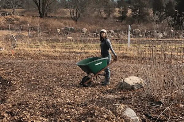 the Giving Garden at Coogan Farm Nature & Heritage Center in Mystic, CT