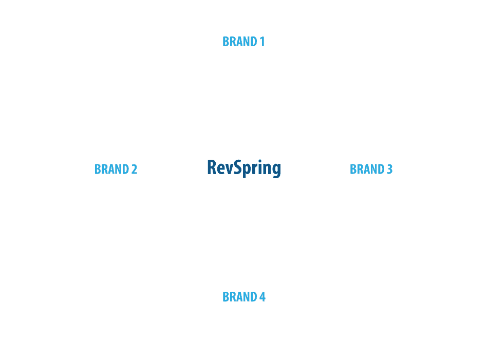 Merger and acquisition marketing plan - RevSpring brand cohesion