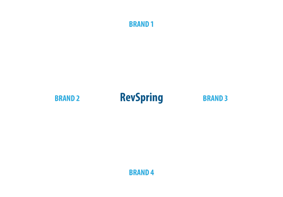Merger and acquisition marketing plan - RevSpring brand cohesion