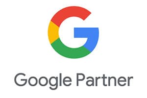 Google Partner logo