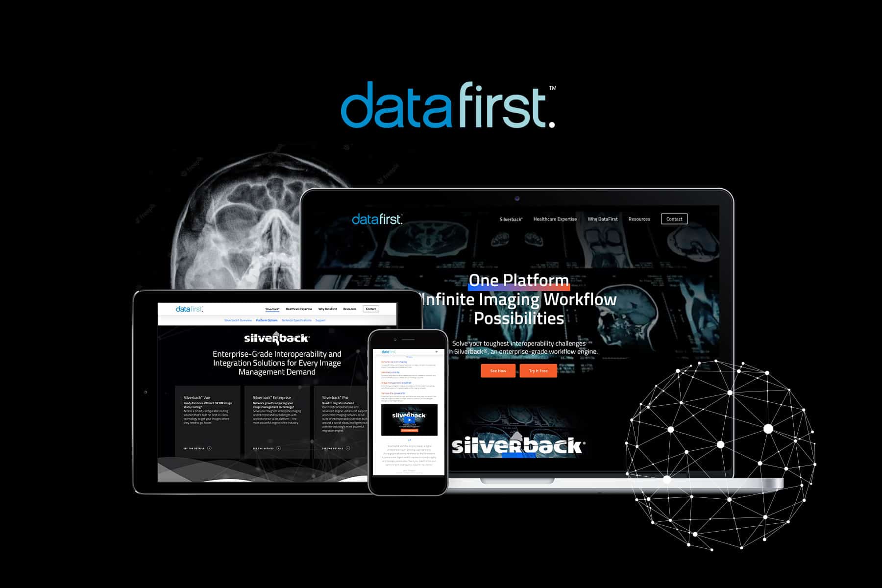 Responsive website design for DataFirst
