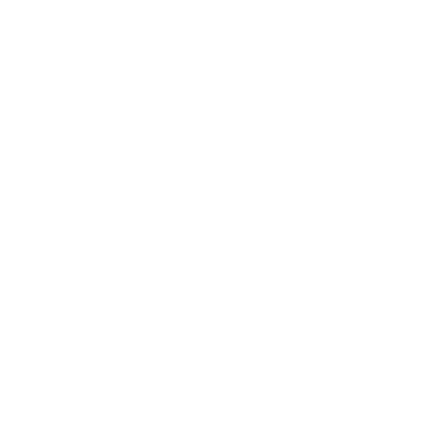 REVA Medical icon