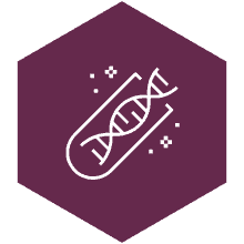laboratory systems bioinformatics - pill and DNA icon