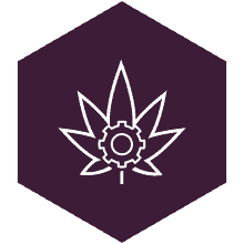 laboratory systems cannabis technology - cannabis leaf with gear icon