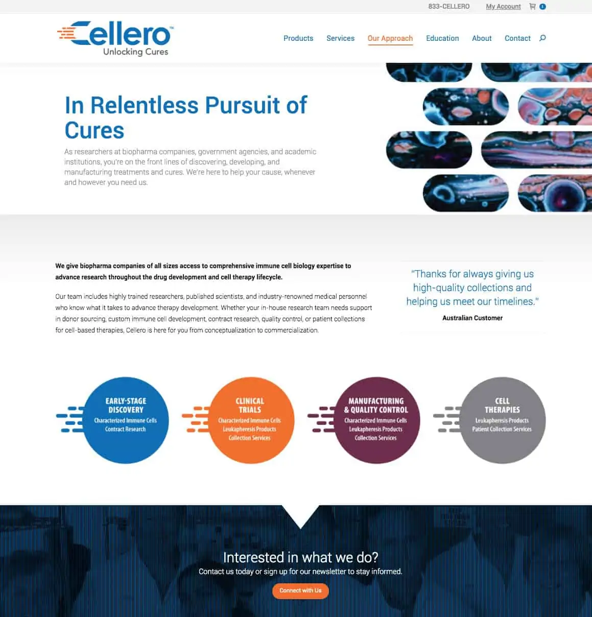 Cellero webpage design