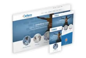 Cellero website image transparent