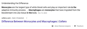 Difference between monocytes and macrophanges