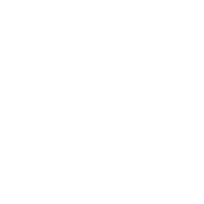 datafirst icon