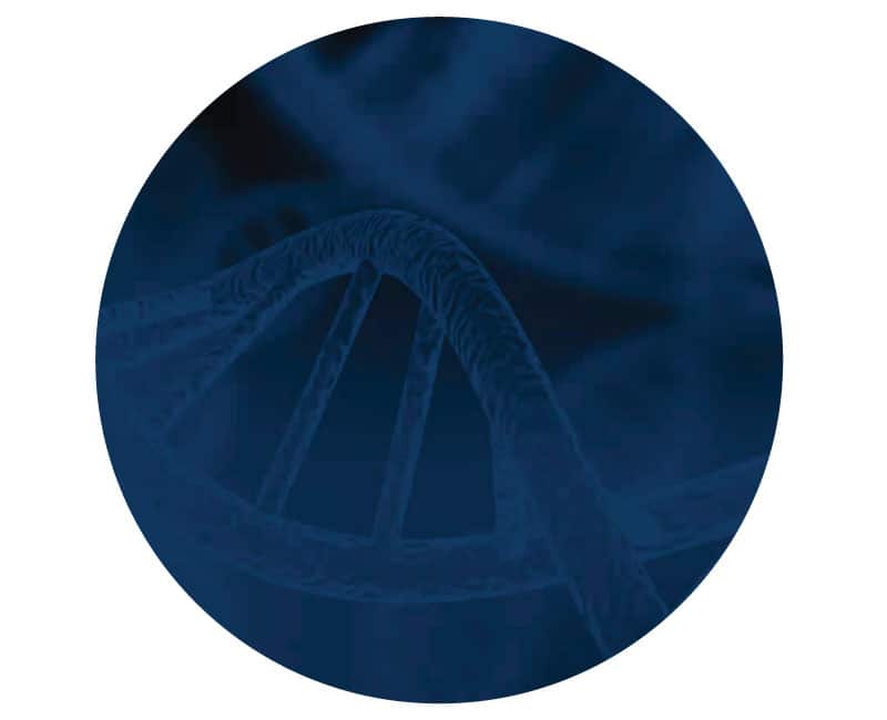 dna strand