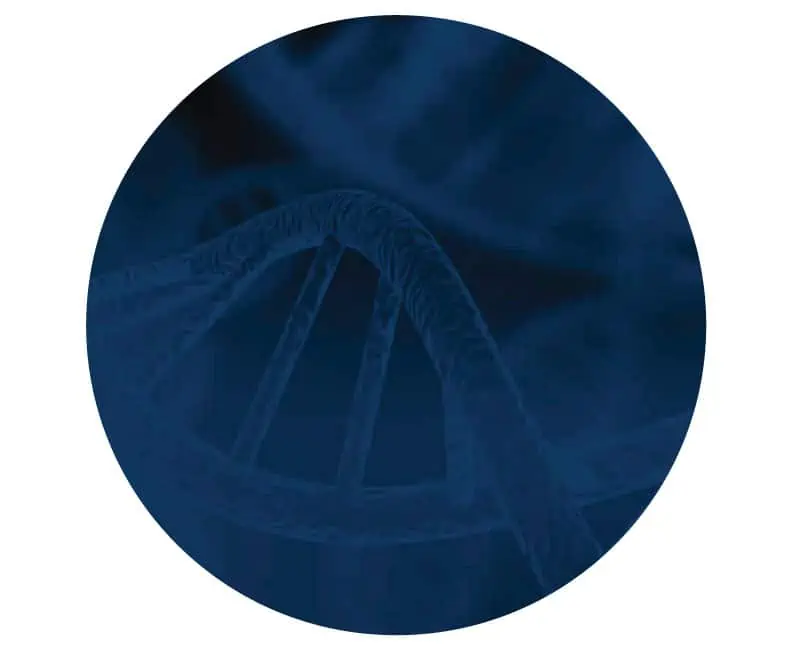 dna strand
