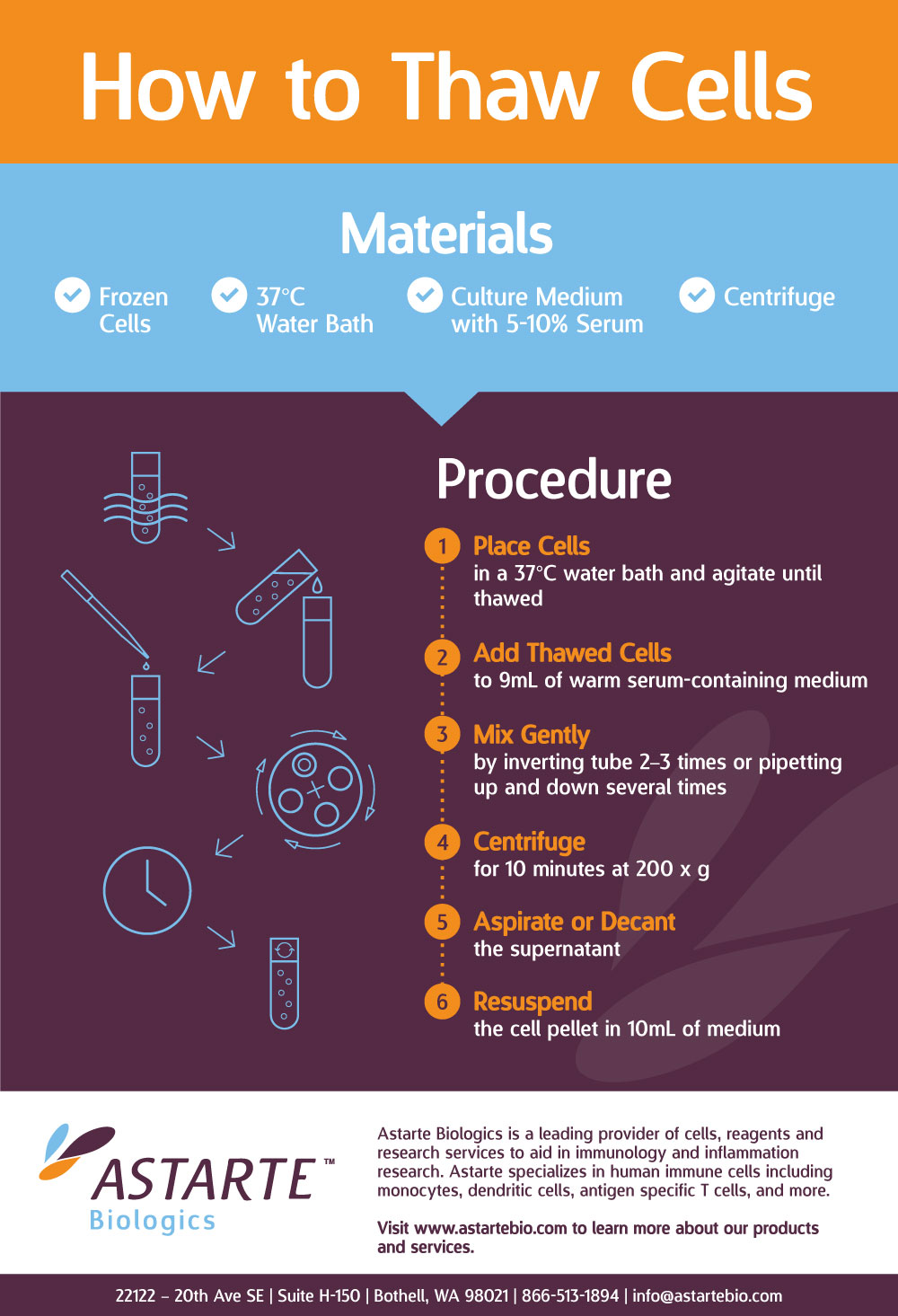 How to Thaw Cells infographic