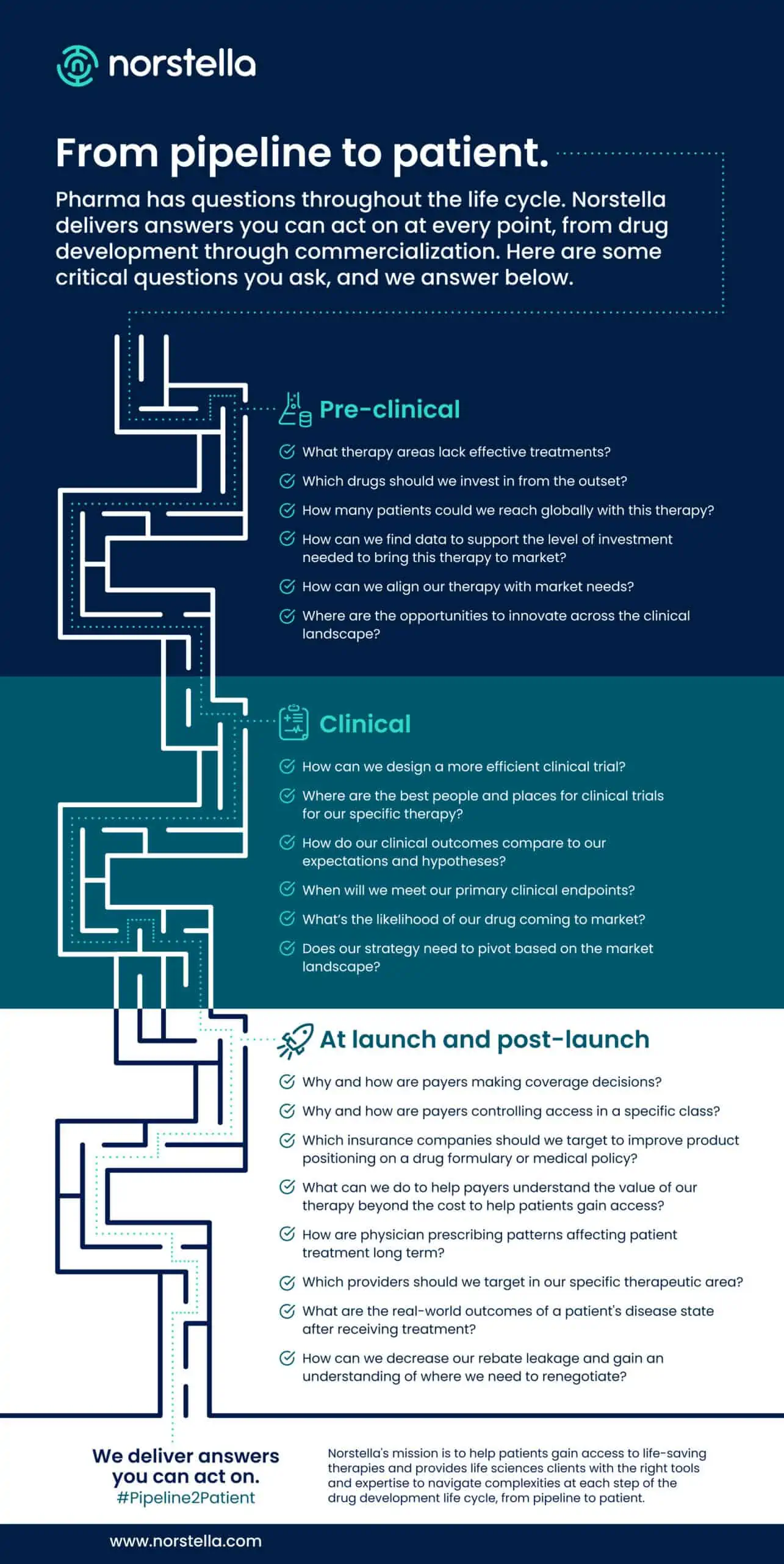 Norstella Pipeline to Patient infographic