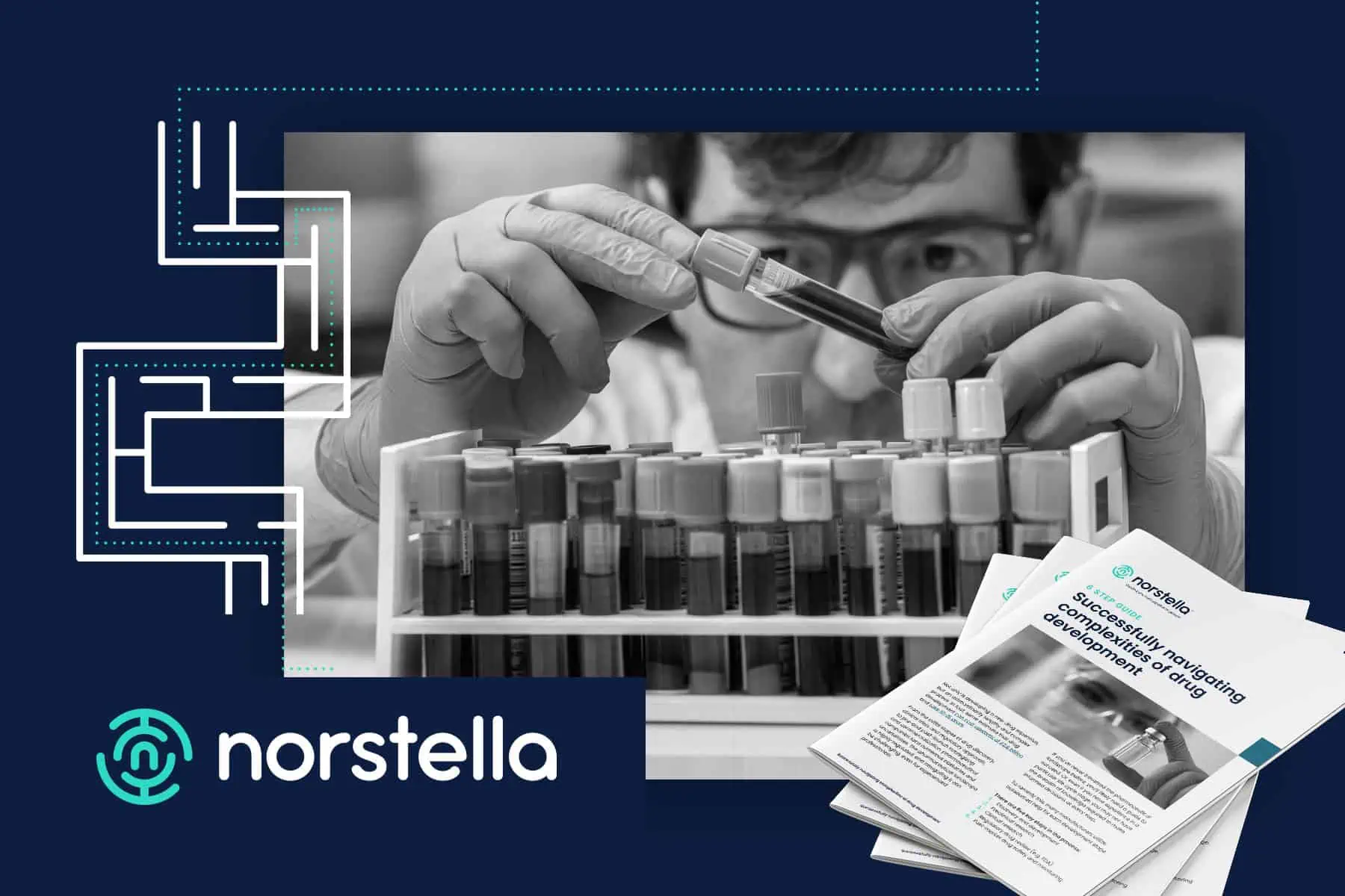 Norstella design examples